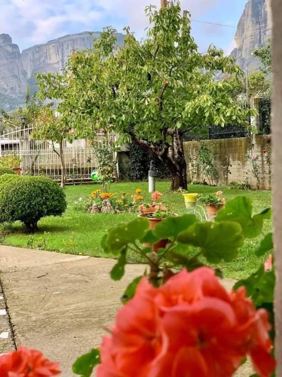 Апартаменты Meteora View Garden Калампака Экстерьер фото